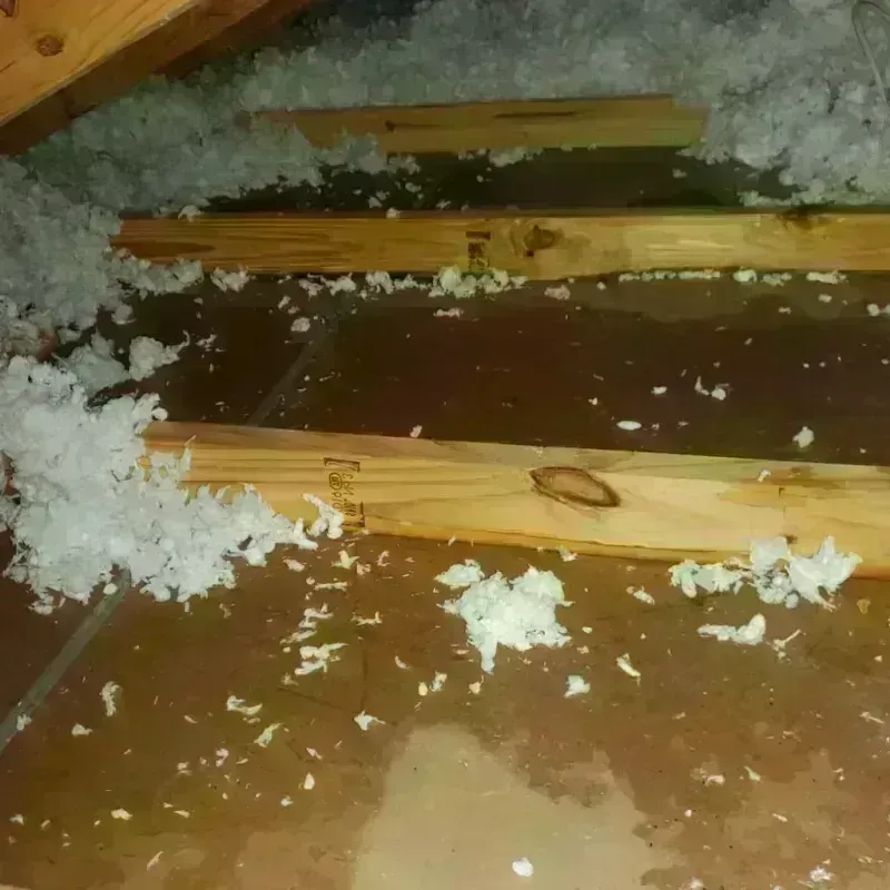 Attic Water Damage in Seward County, KS