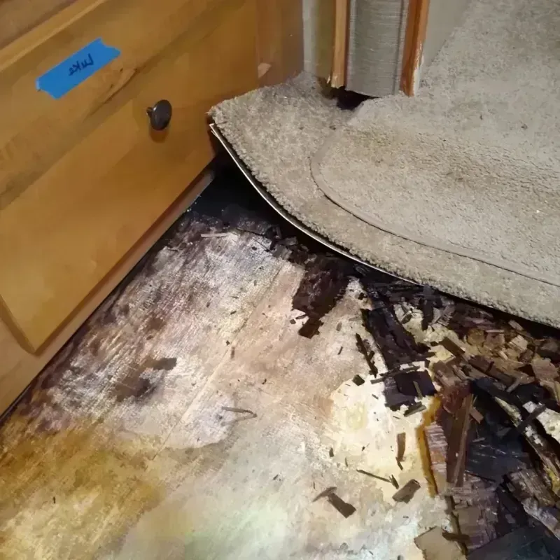 Wood Floor Water Damage in Seward County, KS